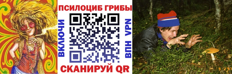 Галлюциногенные грибы Psilocybe Астрахань