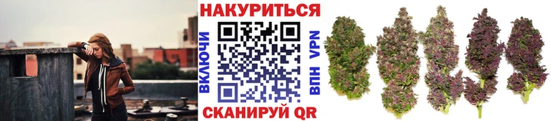 Бошки Шишки сатива  наркошоп  Астрахань 